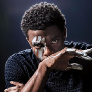 Black Panther (MCU) voice