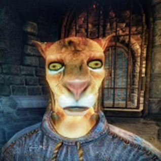Khajit voice